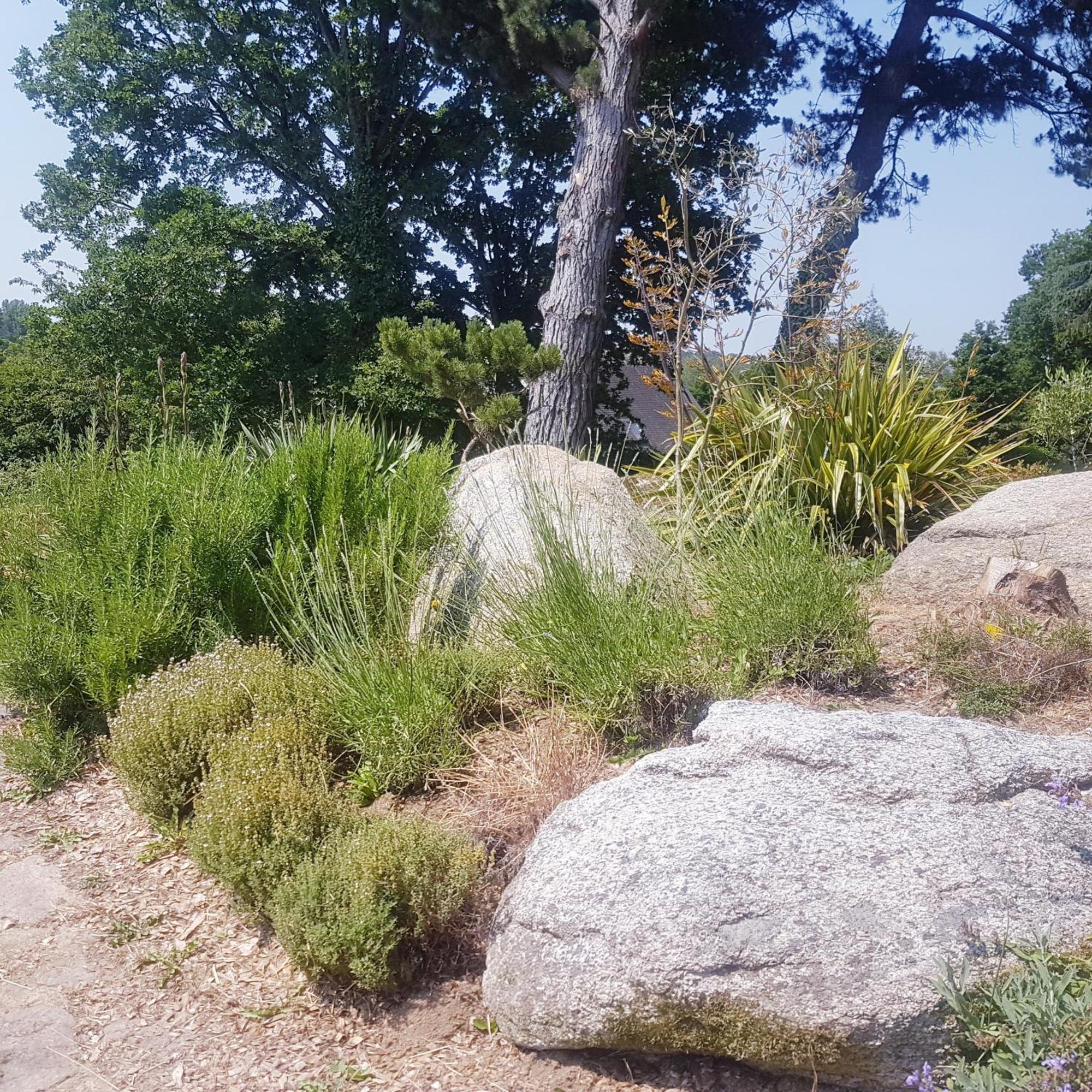 Domaine De La Chesnaie Acomodação com café da manhã Josselin Exterior foto